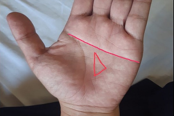 Lòng bàn tay có hình tam giác