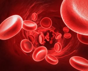 Ăn gì để giảm hồng cầu trong máu