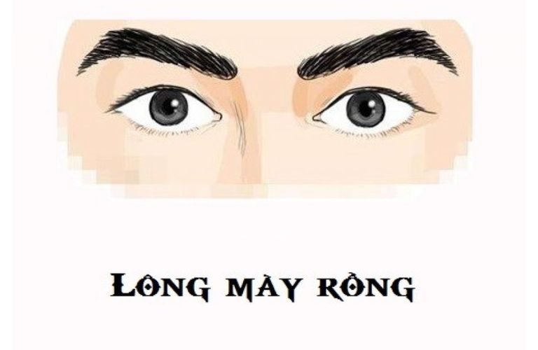 Kiểu dáng lông mày rồng ở nam