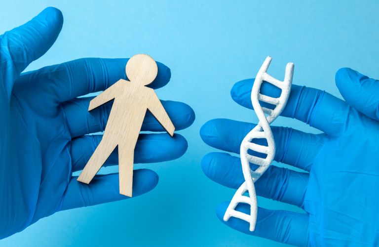 Môi trề chủ yếu liên quan đến di truyền