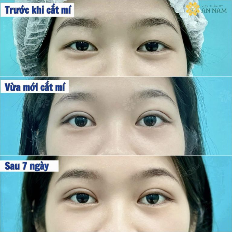 Viện thẩm mỹ An Nam