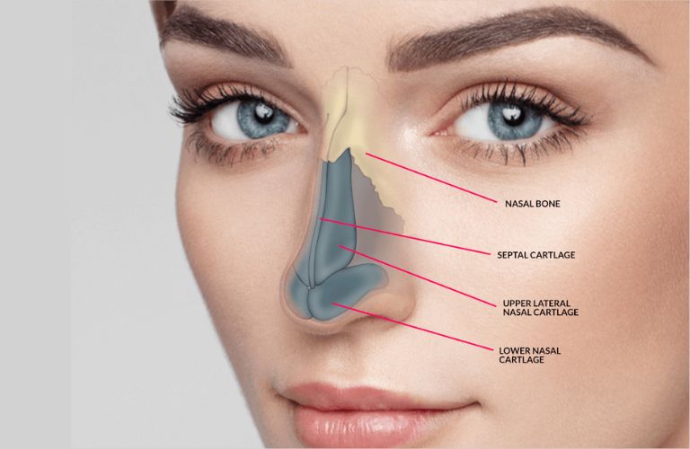 Dựa trên đặc điểm mong muốn về dáng mũi để lựa chọn phương pháp phù hợp